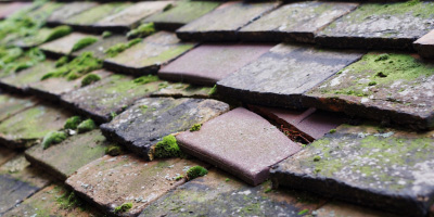 Knowle roof repair costs